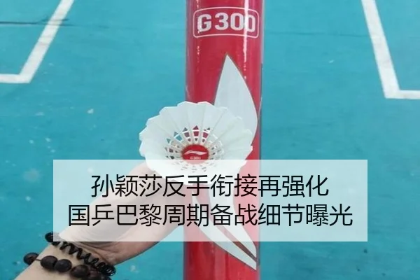 孙颖莎反手衔接再强化 国乒巴黎周期备战细节曝光（SPORTS）